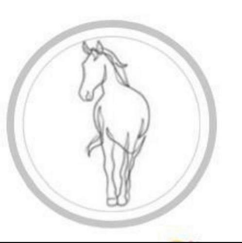 Dressuur/Spring instructrice aangeboden, Dieren en Toebehoren, Paarden en Pony's | Overige Paardenspullen, Ophalen