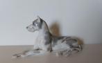 Lomosov poseleinen beeld van een Deense Dog, Antiek en Kunst, Ophalen of Verzenden