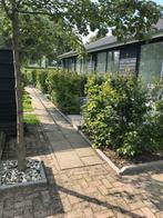 Woonruimte te huur, Huizen en Kamers, Huizen te huur, Gelderland, Direct bij eigenaar, 2 kamers, 50 m²