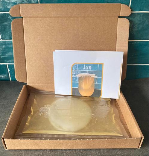 Jun scoby’s, incl recept 🍯, Diversen, Levensmiddelen, Ophalen of Verzenden