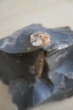Vuursteen met fossiele belemniet, Verzamelen, Mineralen en Fossielen, Ophalen of Verzenden, Fossiel