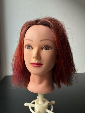 Kappershoofd Oefenhoofd beschikbaar voor biedingen