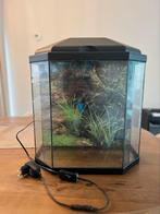 Aquarium SuperFish aqua 30 LED met toebehoren!, Dieren en Toebehoren, Vissen | Aquaria en Toebehoren, Ophalen, Zo goed als nieuw
