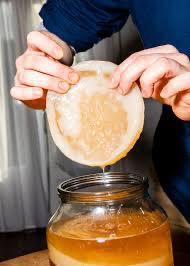 Scoby kombucha starter, Diversen, Levensmiddelen, Ophalen of Verzenden