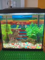 Aquarium incl guppen en toebehoren, Dieren en Toebehoren, Vissen | Aquaria en Toebehoren, Ophalen, Gebruikt, Gevuld zoetwateraquarium