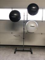 Technogym Wellness Balls + rack, Sport en Fitness, Fitnessmaterialen, Gebruikt, Ophalen of Verzenden, Rug, Fitnessbal