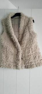 Moscow gilet maat M, Kleding | Dames, Bodywarmers, Ophalen of Verzenden, Zo goed als nieuw, Maat 38/40 (M), Beige