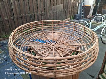 Grote Rieten Schaal/Mand beschikbaar voor biedingen