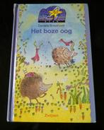 het boze oog, isbn:9027631662, Ophalen of Verzenden, Gelezen, Danielle schothorst, Fictie algemeen