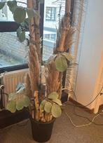Grote kunstplant met bamboestokken met pauwen veren, Huis en Inrichting, Ophalen, Zo goed als nieuw