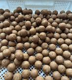 Mega fish boilies 30% vismeel !, Ophalen of Verzenden, Nieuw, Overige typen