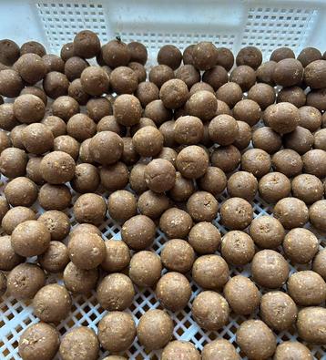Mega fish boilies 30% vismeel ! beschikbaar voor biedingen