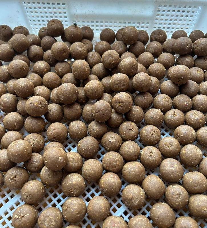 Mega fish boilies 30% vismeel !, Watersport en Boten, Hengelsport | Karpervissen, Nieuw, Overige typen, Ophalen of Verzenden