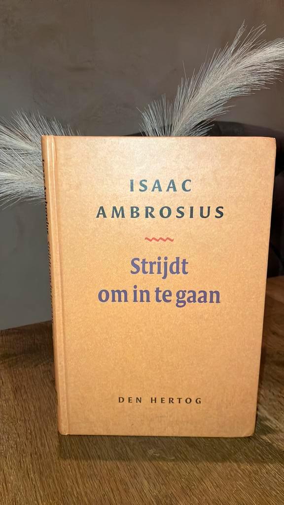 KR-1 Isaac Ambrosius - Strijdt om in te gaan, Boeken, Godsdienst en Theologie, Zo goed als nieuw, Ophalen of Verzenden