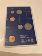 Nederlandse plastic Muntset uit het jaar 1982., Ophalen of Verzenden, Koningin Beatrix, Overige waardes, Setje