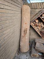 Boomstam zwarte populier, Doe-het-zelf en Verbouw, Hout en Planken, Ophalen, Gebruikt, Plank, 50 mm of meer