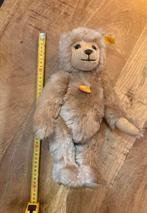 Steiff beer 40cm, Ophalen of Verzenden
