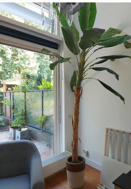 Palmboom (kunst) voor binnen of buiten, Tuin en Terras, Planten | Bomen, Palmboom, 100 tot 250 cm, Volle zon, Ophalen