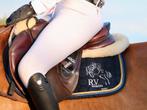 Gezocht!! Spring of allround paarden 3-16j, Dieren en Toebehoren, Paarden, Springpaard, Gechipt, Ruin, M