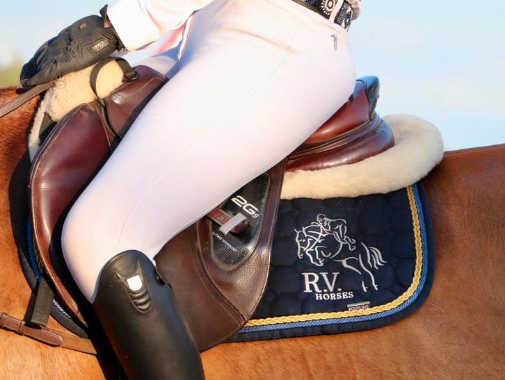 Gezocht!! Spring of allround paarden 3-16j, Dieren en Toebehoren, Paarden, Ruin, M, 165 tot 170 cm, 7 tot 10 jaar, Springpaard