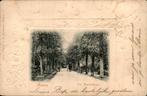 Baarn - De Noorderlaan, Verzamelen, Ansichtkaarten | Nederland, Ophalen of Verzenden, Voor 1920, Ongelopen, Utrecht