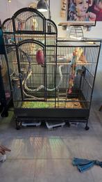 Vogelkooi te koop., Ophalen, Gebruikt, Metaal, Vogelkooi