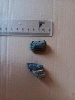 Neochoerus pinckneyi capybara tand fossiel bot peace river, Verzenden, Fossiel