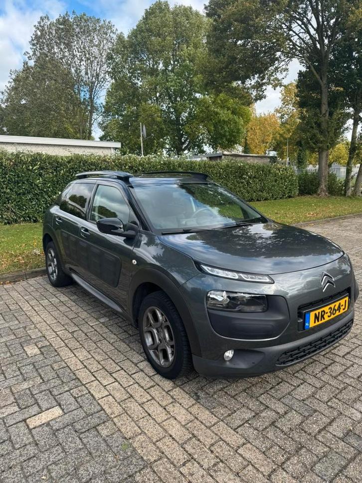 Citroën C4 Cactus 1.2 PURETECH Business 2016 NIEUWE APK, Auto's, Citroën, Particulier, C4 Cactus, ABS, Airconditioning, Alarm