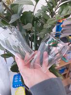 Arcoroc Bierglazen - set 40 stuks, Ophalen of Verzenden, Zo goed als nieuw, Overige materialen, Vaatwasserbestendig