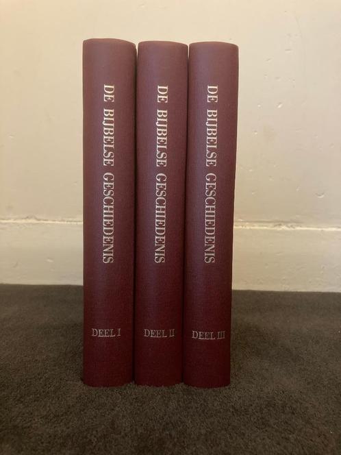Vreugdenhil - Bijbelse Geschiedenis (4e druk), Boeken, Godsdienst en Theologie, Ophalen of Verzenden