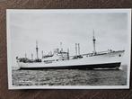 ansichtkaart schip MS Ceylon, Verzamelen, Scheepvaart, Ophalen of Verzenden, Zo goed als nieuw, Motorboot, Kaart, Foto of Prent