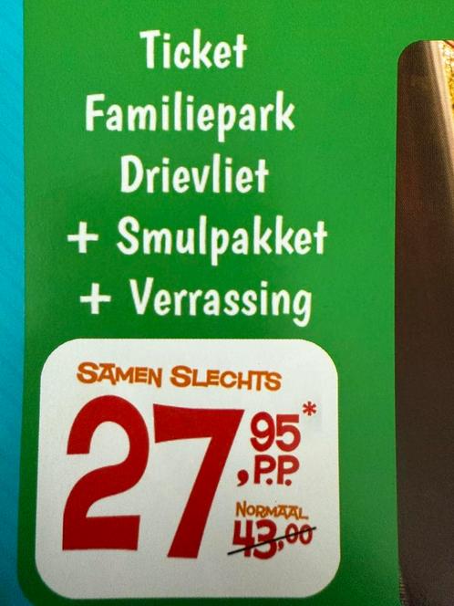Korting DRIEVLIET voor 6 kaartjes tickets, Tickets en Kaartjes, Recreatie | Pretparken en Attractieparken, Drie personen of meer