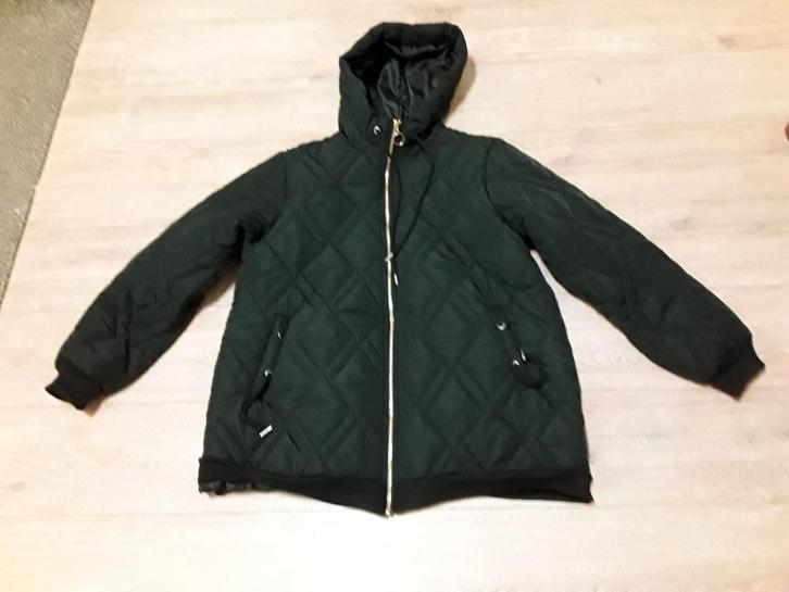 winterjas zwart, grijsv ,herfst ,najaar of ski-jas, Kleding | Dames, Jassen | Winter, Maat 46/48 (XL) of groter, Zwart, Ophalen of Verzenden