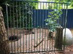 Kennelpaneel 200 x 180, Dieren en Toebehoren, Ophalen, Gebruikt, 110 cm of meer