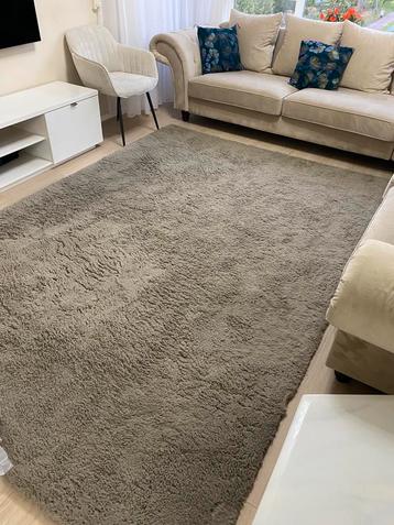 Taupe Tapijt 2x3m beschikbaar voor biedingen