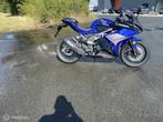 TRMOTOR GP one, Bedrijf, Sport, TRMOTOR