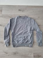 Ashes to dust Blauwe sweater trui - maat S, Ophalen of Verzenden, Zo goed als nieuw, Grijs