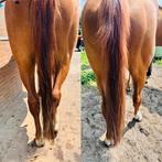 📣 Laat jouw paard/pony stralen met een prachtige staart!, Ophalen of Verzenden, Zo goed als nieuw, Overige soorten