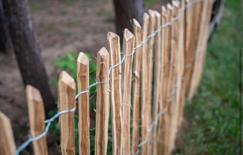 Nieuwe robinia houten schapen hekwerken op rol 100cm 3-6 5m, Tuin en Terras, Tuinhekken en Hekwerk, Nieuw, Tuinhek, Hout, Ophalen of Verzenden