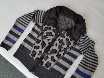 Mooi grijs vest / jasje zgan met paarse accenten beschikbaar voor biedingen