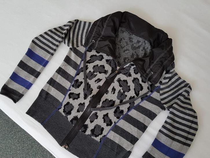 Mooi grijs vest / jasje zgan met paarse accenten, Kleding | Dames, Truien en Vesten, Zo goed als nieuw, Maat 38/40 (M), Grijs