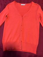 Yessica vest mast S, Kleding | Dames, Ophalen of Verzenden, Zo goed als nieuw, Maat 38/40 (M)