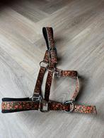 Halster, oranje met groen, merk Epplejeck, maat pony, Dieren en Toebehoren, Paarden en Pony's | Hoofdstellen en Tuigage, Ophalen of Verzenden