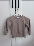 Trui beige Name It maat 110, Kinderen en Baby's, Kinderkleding | Maat 110, Ophalen of Verzenden, Zo goed als nieuw, Jongen, Trui of Vest