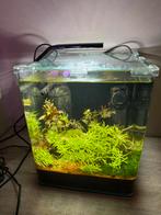 Denerle Nano Aquarium - Jouw Persoonlijke Onderwaterwereld, Dieren en Toebehoren, Vissen | Aquaria en Toebehoren, Ophalen, Gebruikt