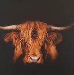 Schotse Hooglander (kunststof plaat), Ophalen, 50 tot 75 cm, Overige typen, Zo goed als nieuw