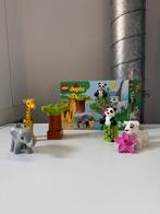 Duplo Babydieren, Ophalen of Verzenden, Zo goed als nieuw, Complete set, Duplo
