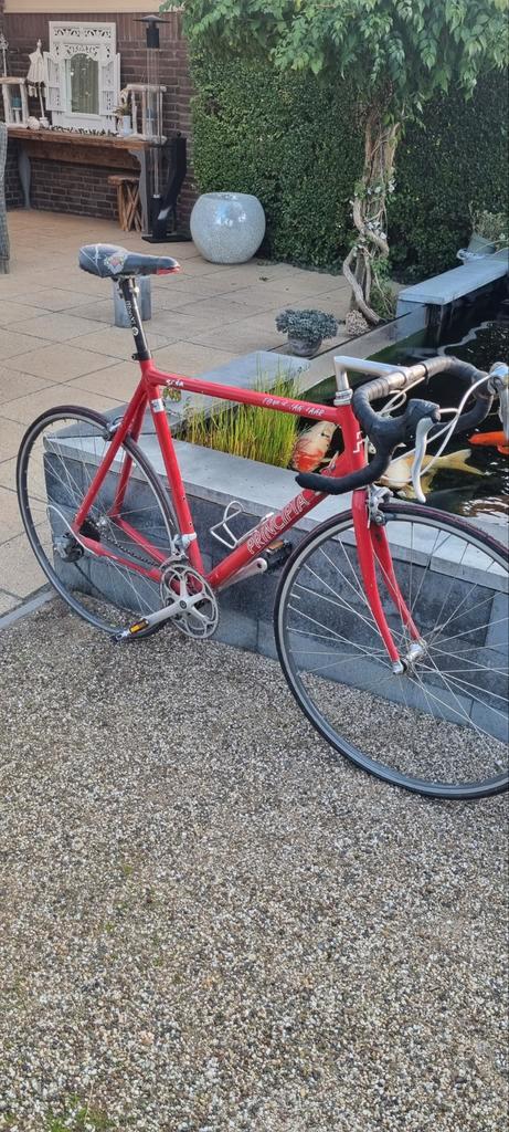 Principia Racefiets - Rode Klassieker, Fietsen en Brommers, Fietsen | Racefietsen, Gebruikt, Heren, Overige merken, Minder dan 10 versnellingen