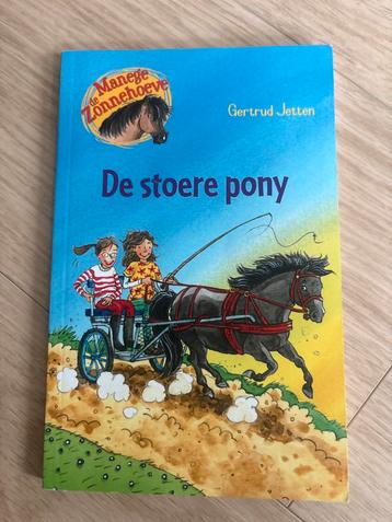 De Stoere Pony - Manege Zonnehoeve beschikbaar voor biedingen