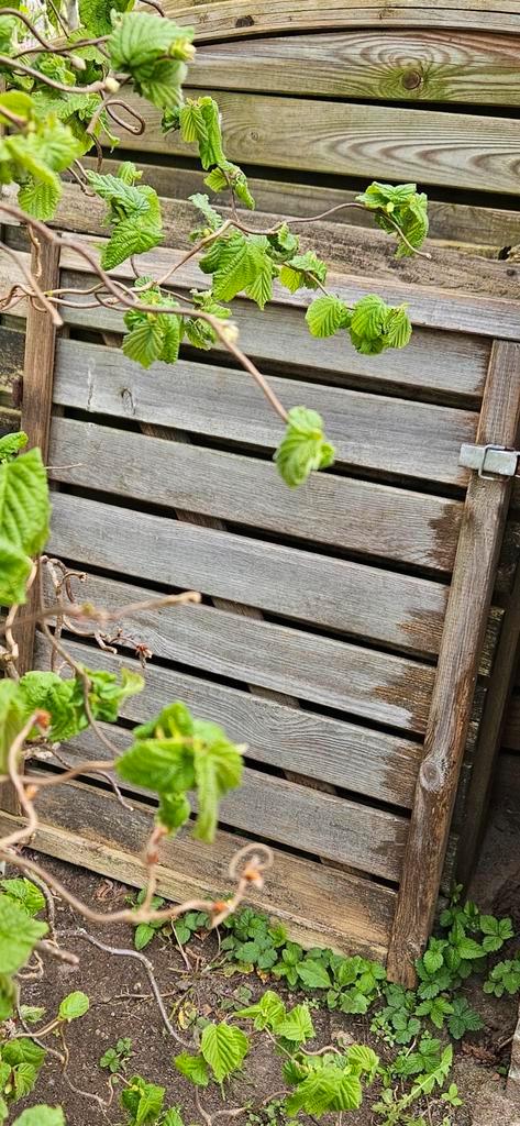 Geimpregneerd houten schermen, Tuin en Terras, Schuttingen, Gebruikt, Hout, 1 tot 2 meter, Minder dan 3 meter, Ophalen